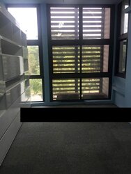 Primz Bizhub (D25), Factory #456755451